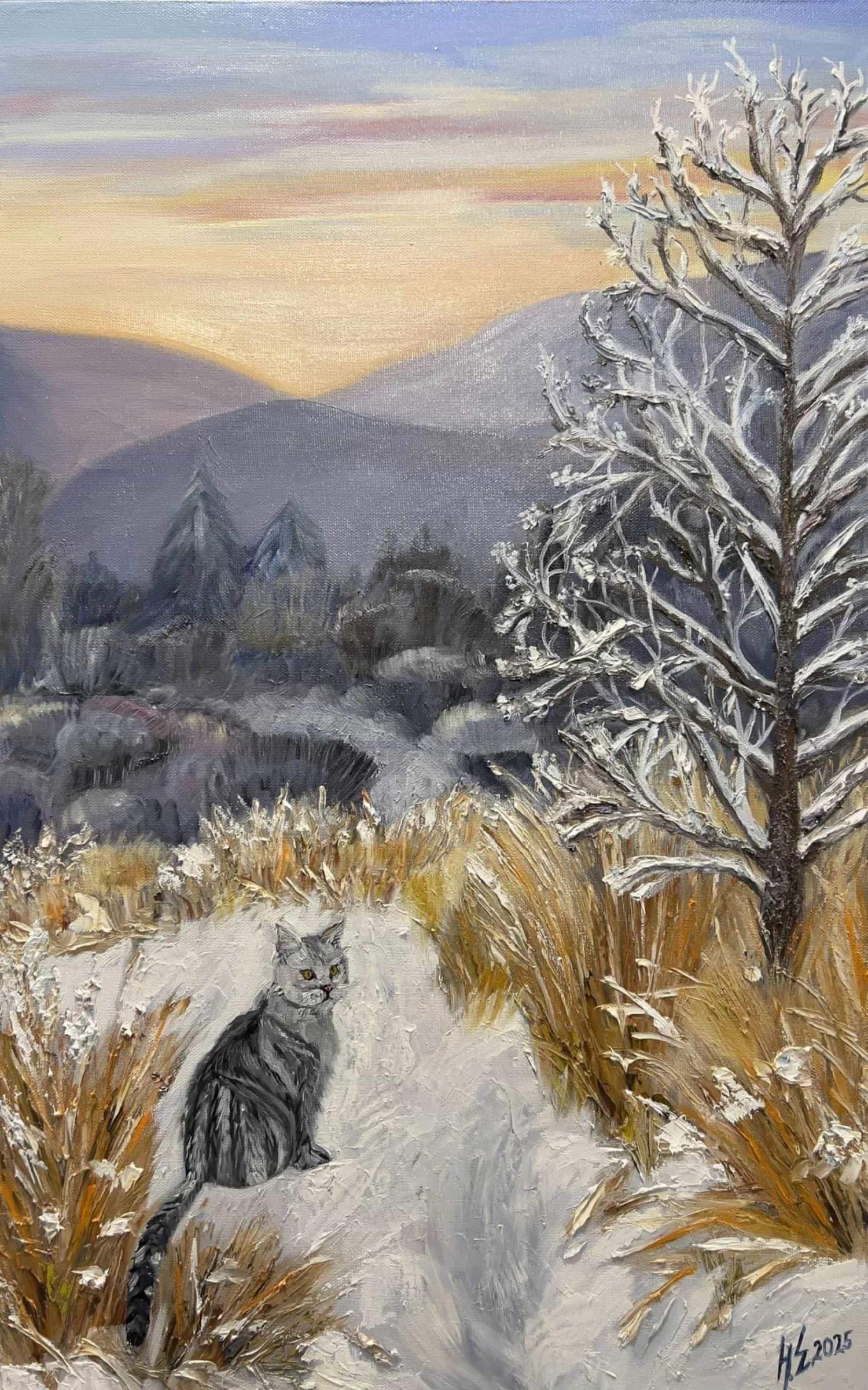 Кот в снегу