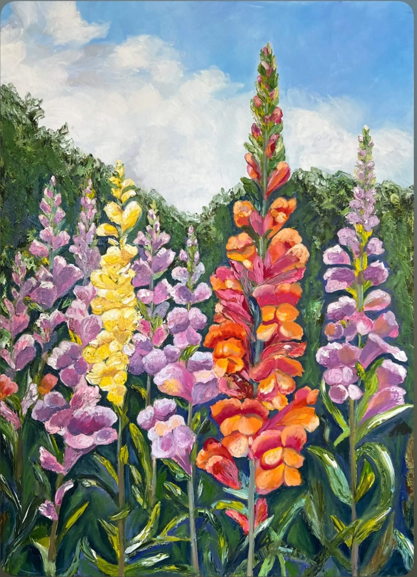 Львиный зев. Масло, холст, 50 × 70 см