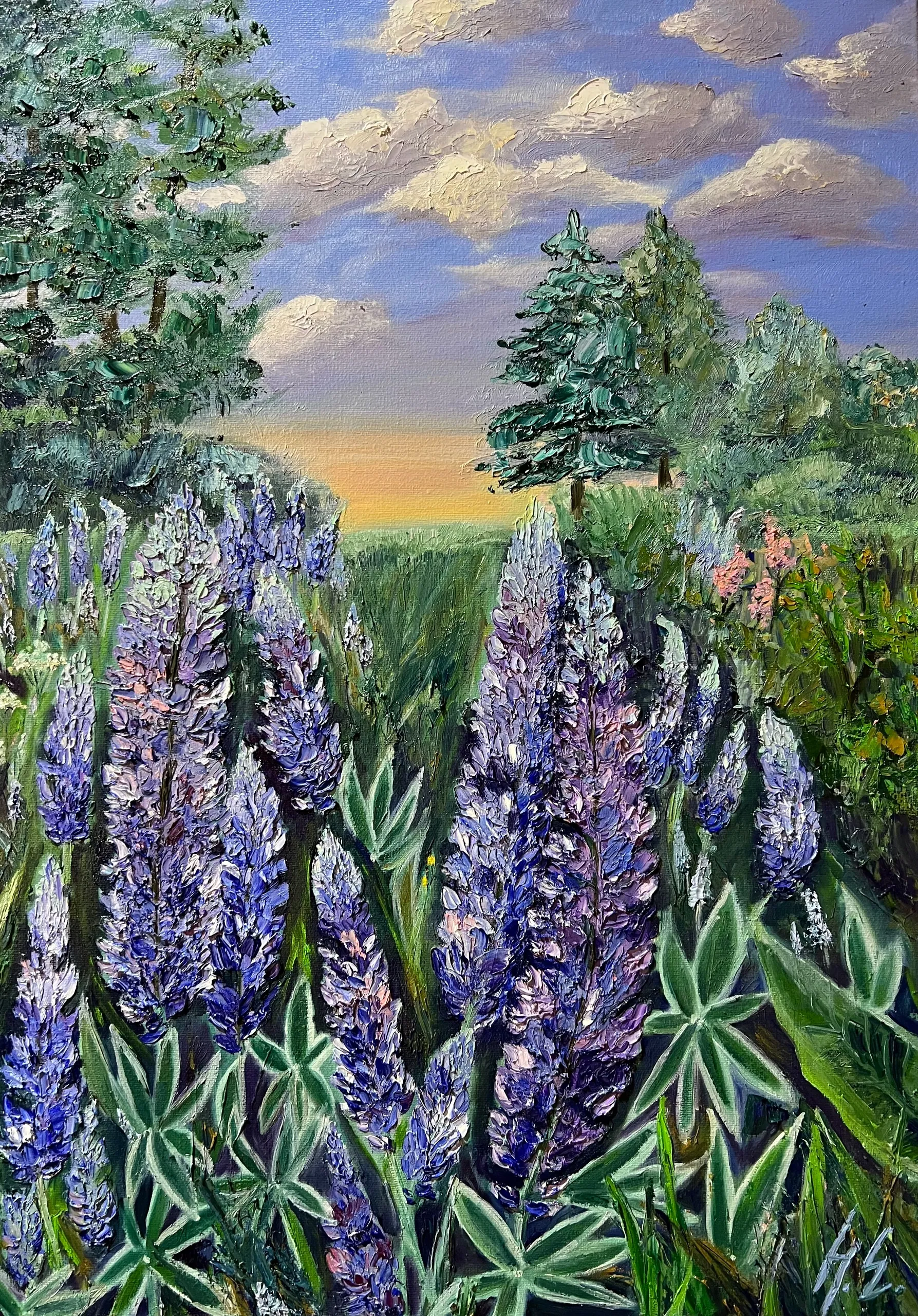 Люпиновое поле. Масло, холст, 40 × 60 см