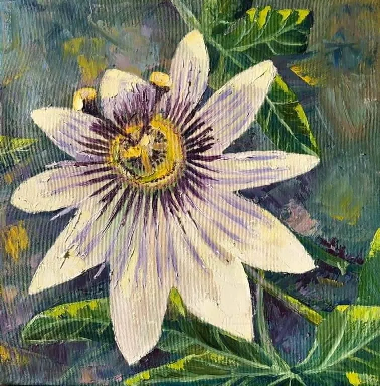 Пассифлора. Масло, холст, 40 × 40 см