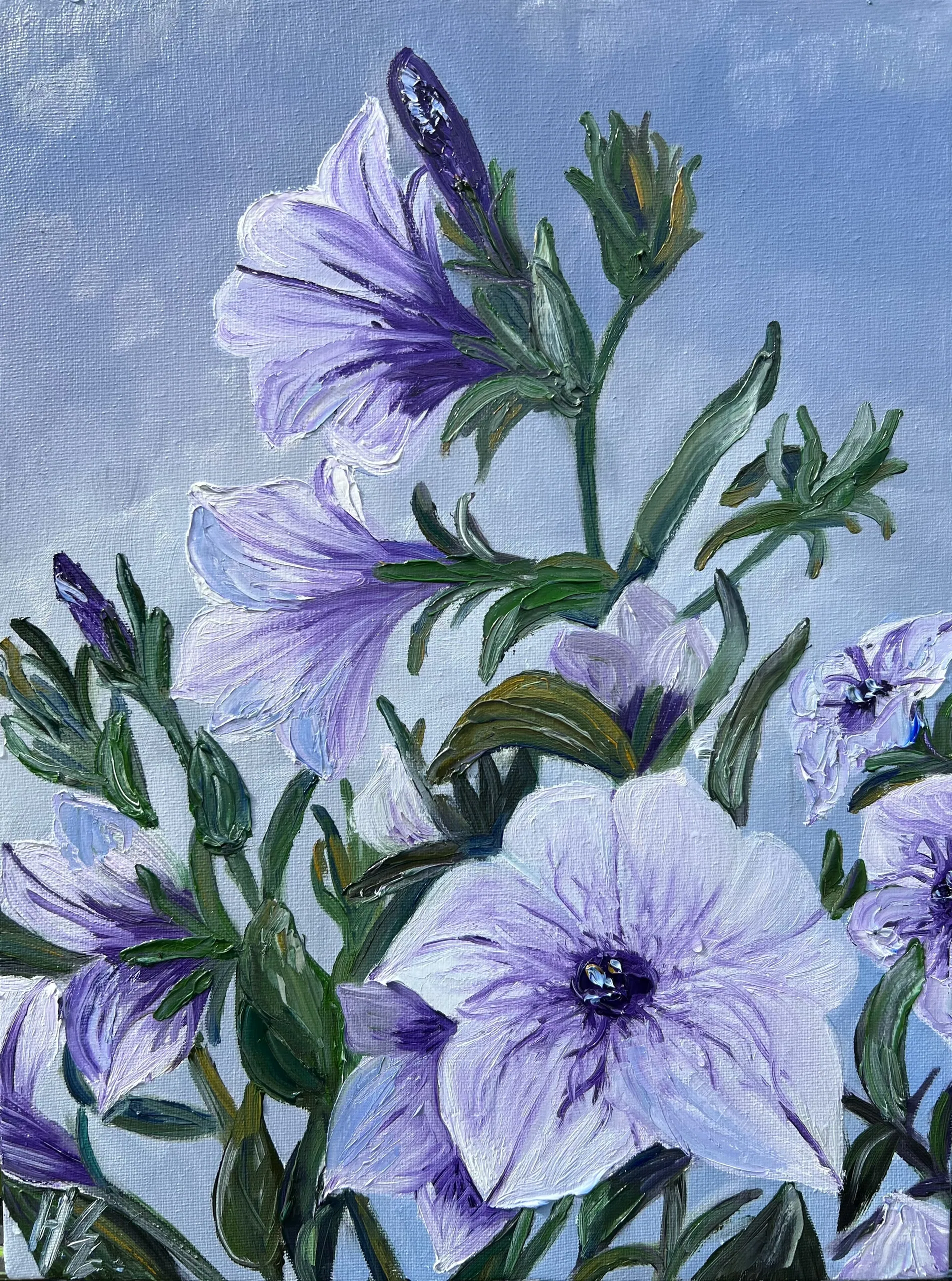 Petunias. Oil on canvas, 30 × 40 cm